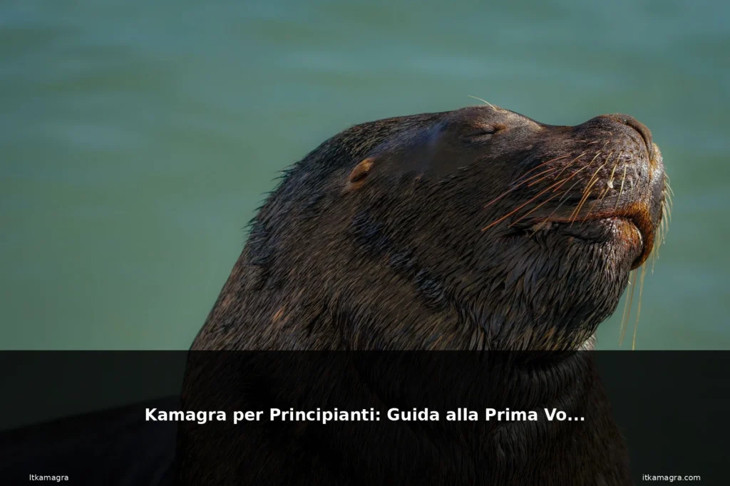 Kamagra per Principianti: Guida alla Prima Volta 2 featured alla bella donna modella raffi